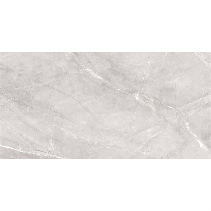 Керамогранит матовый Silk 60х120 ARMANI SILVER 60x120 MATT 11231