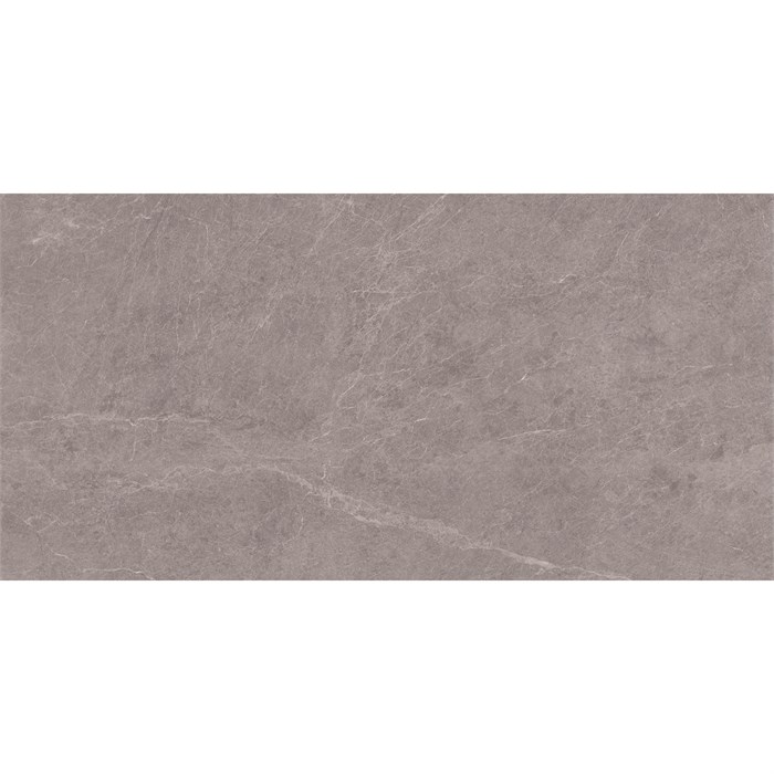 Керамогранит матовый STARO Silk ALPINE GRIS 60x120 MATT 11232