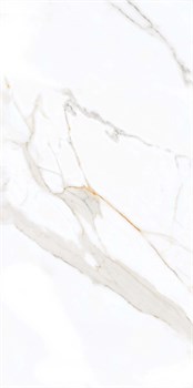 PR203 керамогранит Regal Carara Polished 600*1200 (1,44 м2) PR203