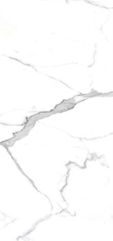 PR207 керамогранит Salvatore Polished 600*1200 (1,44 м2) PR207