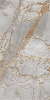 PR212 керамогранит Golden Grey Polished 600*1200 (1,44 м2) PR212