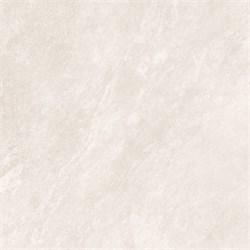 GT606024007MSR Керамогранит Саванна / Savanna Светло-беж. 60x60 GT606024007MSR