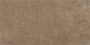 {{productViewItem.photos[photoViewList.activeNavIndex].Alt || productViewItem.photos[photoViewList.activeNavIndex].Description || 'Керамогранит Гранитея G214 Arkaim Borwn MR матовый - 1200*600*10мм. (2,16м.кв.), , м2'}}