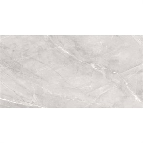 {{productViewItem.photos[photoViewList.activeNavIndex].Alt || productViewItem.photos[photoViewList.activeNavIndex].Description || 'Керамогранит матовый Silk 60х120 ARMANI SILVER 60x120 MATT'}}