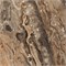 GR104 керамогранит Richter brown High glossy 60*60см (1,44 м2) 10958
