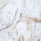 PR116 Керамогранит  Namibian Marble Polished 60х60 (1,44 м2) 10970