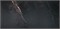 CR234 Керамогранит Wilton Black 600*1200см 1,44м2 CR234